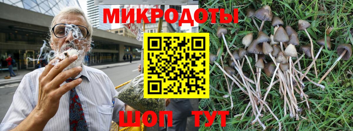 Псилоцибиновые грибы мухоморы Сланцы