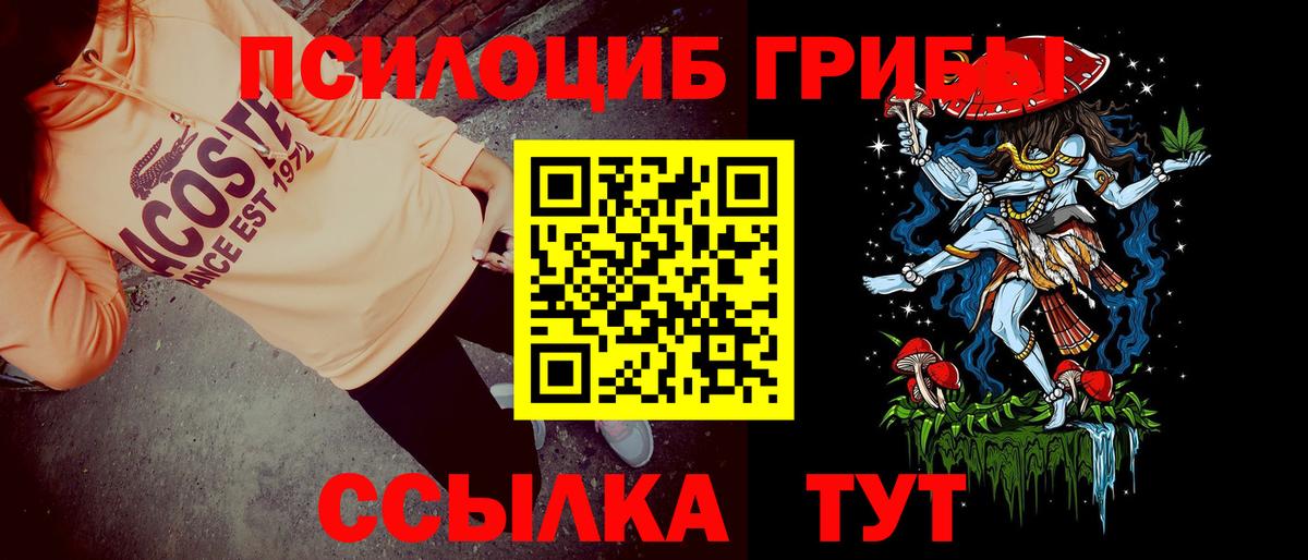 Сланцы  Псилоцибиновые грибы Magic Shrooms  Вход с VPN 